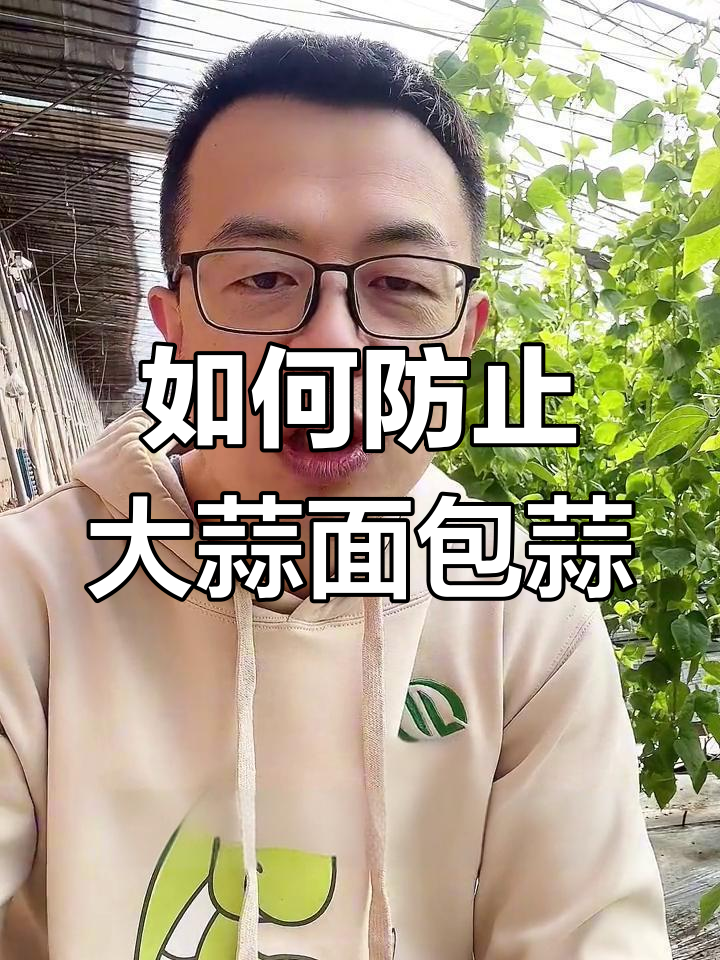 大蒜面包蒜的原因及预防方法,氮肥过剩是关键