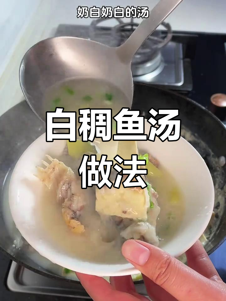 炖鱼汤的秘诀,奶白又鲜甜