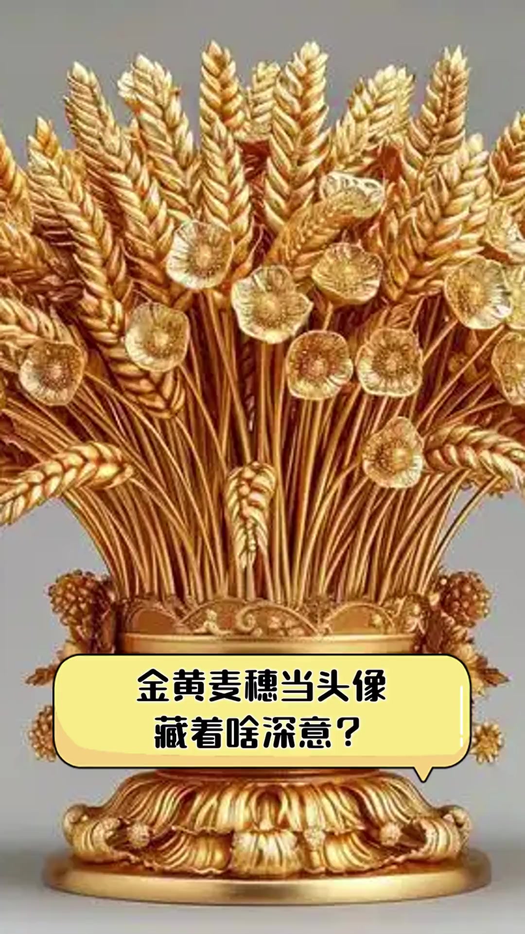 金黄麦穗当头像,藏着啥深意?
