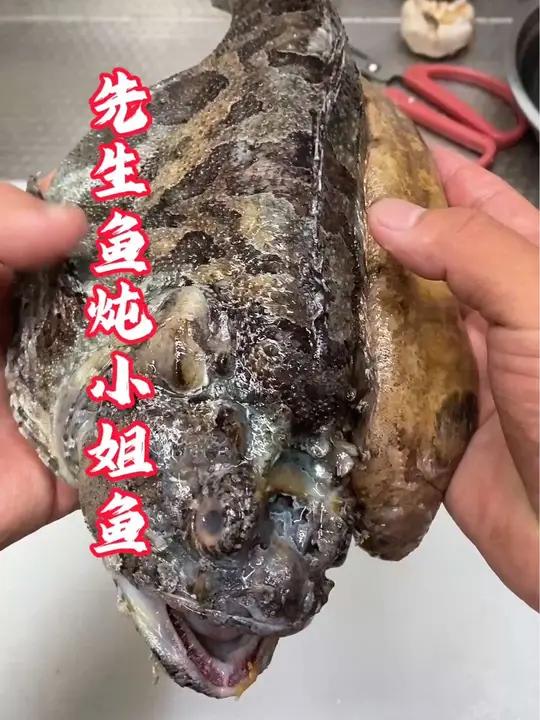 先生鱼炖小姐鱼。海鲜