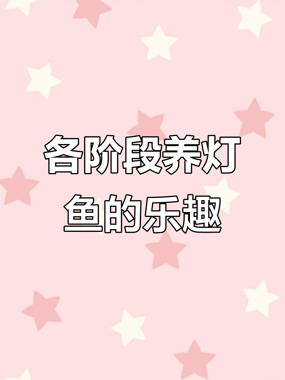 灯科鱼品种大揭秘：从入门到顶级玩家最爱
