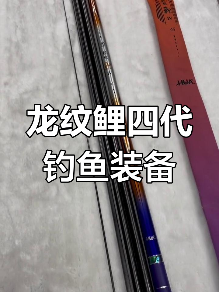 化氏龙纹鲤四代:经典黑坑钓具,皮毛完美无瑕