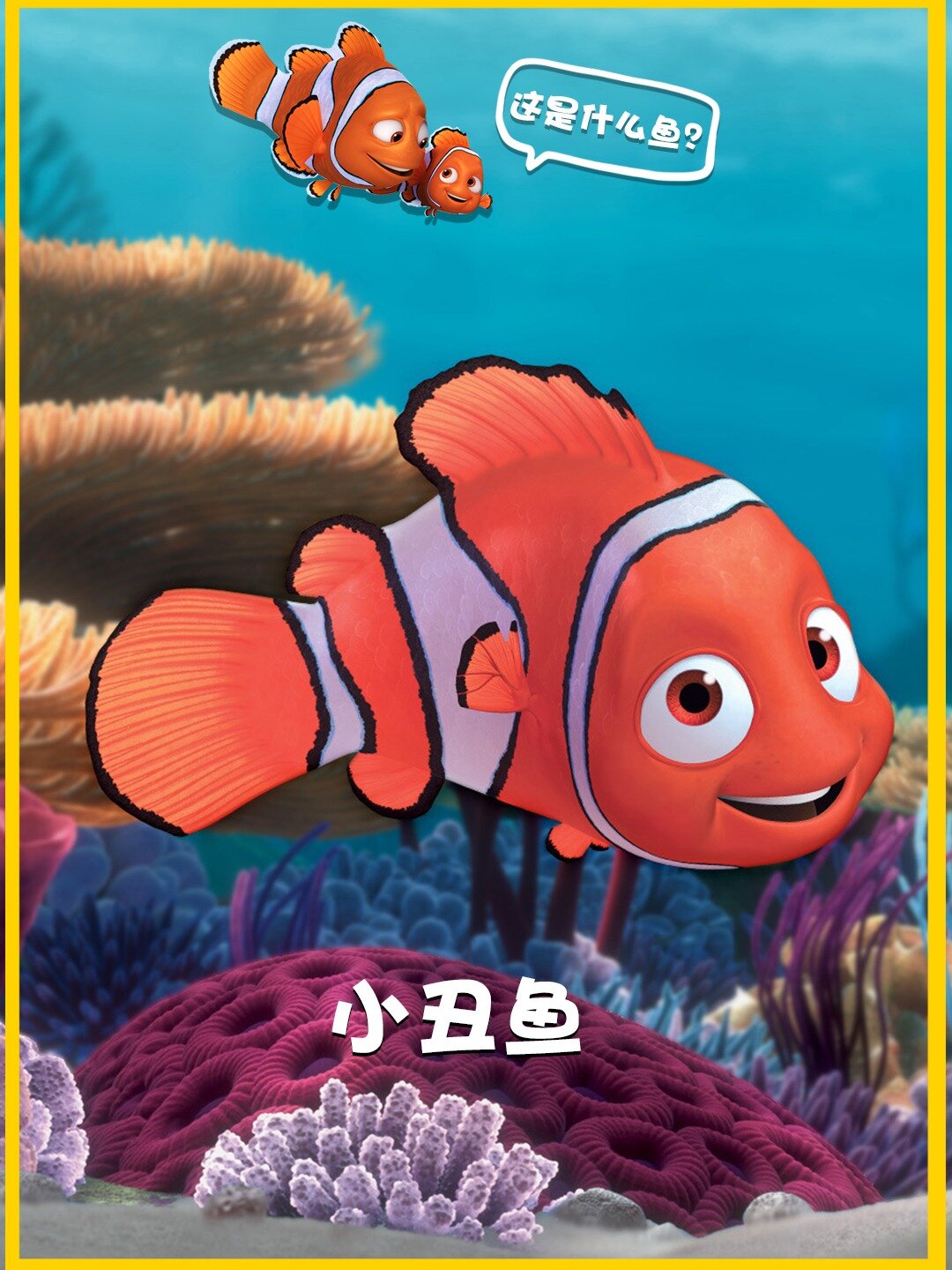 海底总动员的尼莫-小丑鱼 科普小知识