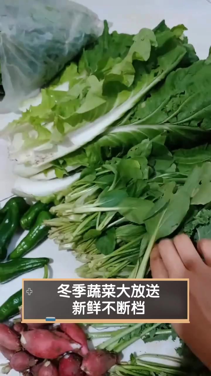 冬季蔬菜大放送,新鲜不断档