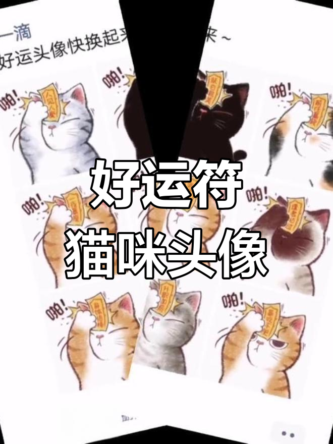 猫头像好运来,微信换上这只萌宠,福运到!