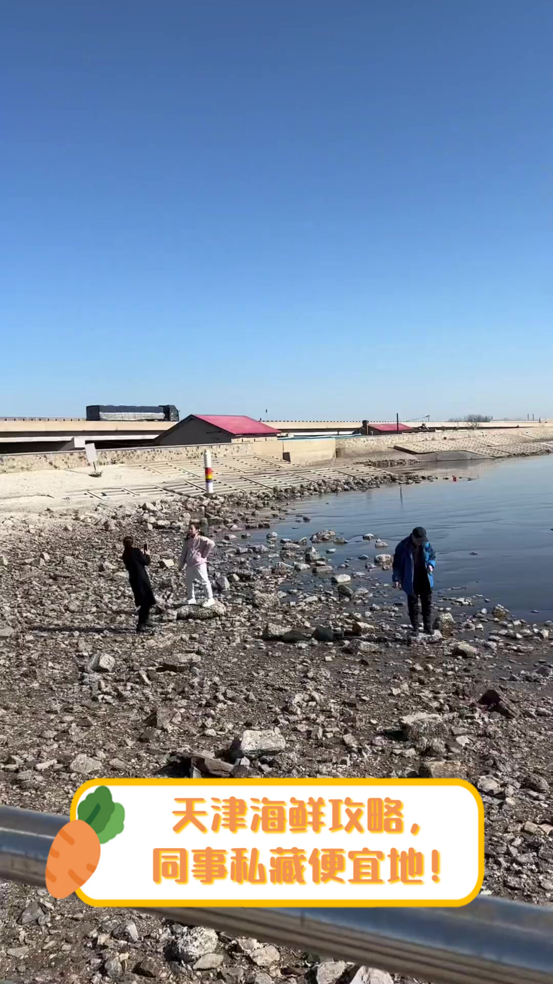 天津海鲜攻略,同事私藏便宜地!