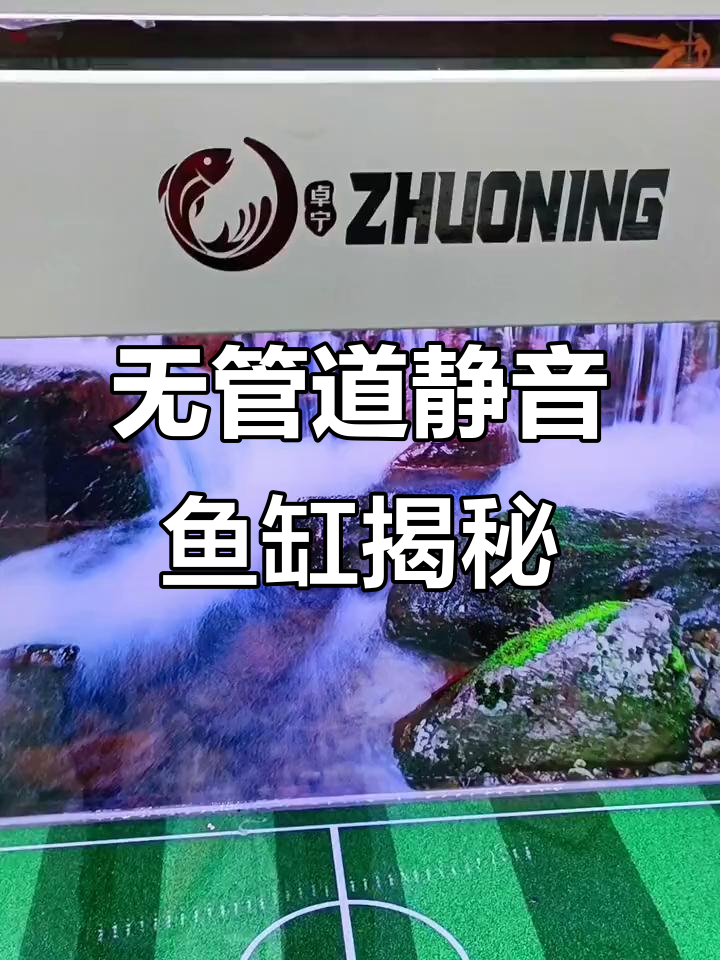 静音鱼缸的秘密：无管道设计、双层底滤与自动补水功能解析