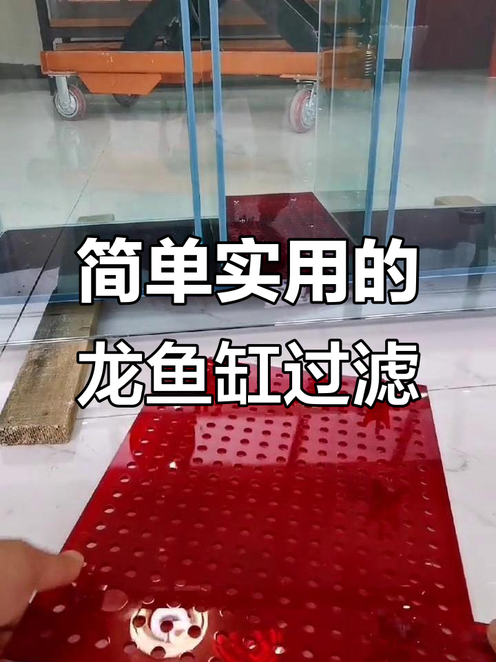 龙鱼缸底部过滤工艺揭秘,双循环设计让水质更稳定