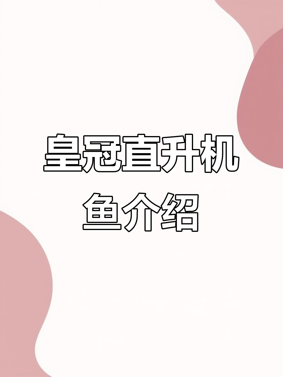 皇冠直升机鱼:异形观赏鱼的魅力与繁殖特征