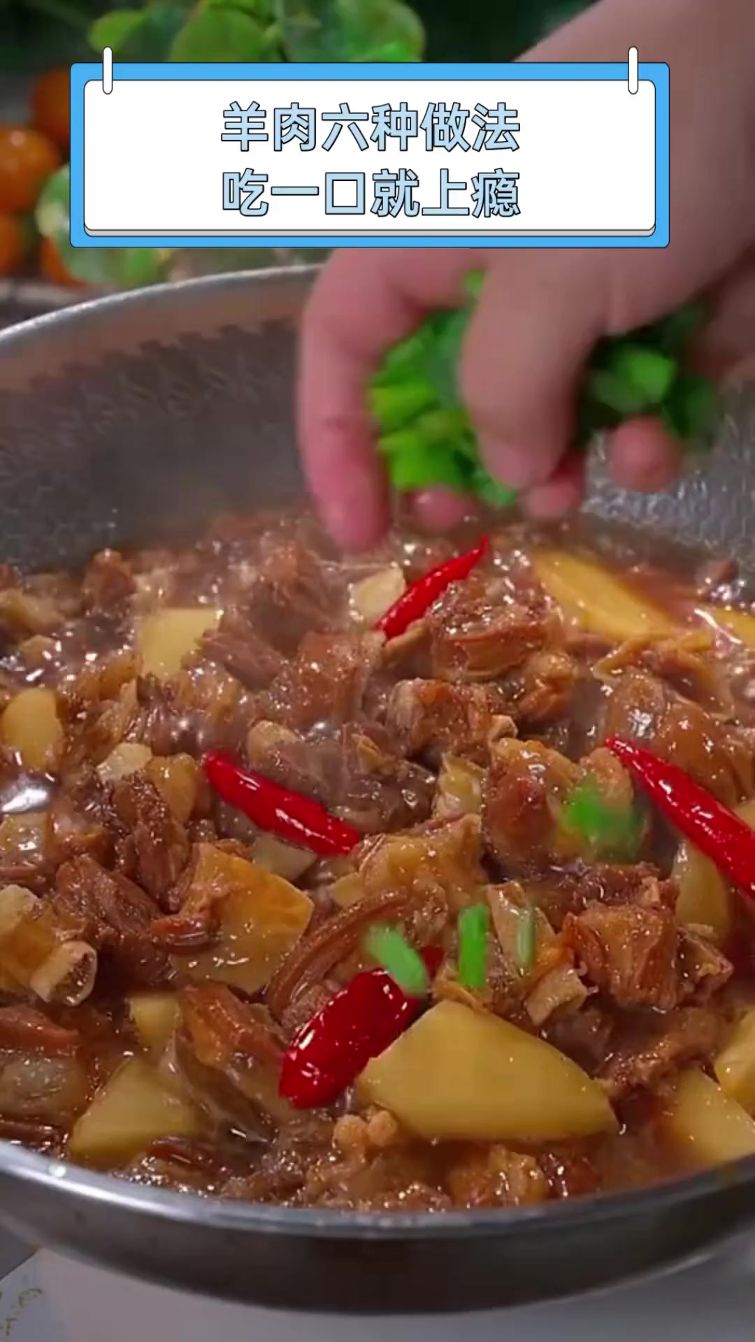 羊肉六种做法,吃一口就上瘾