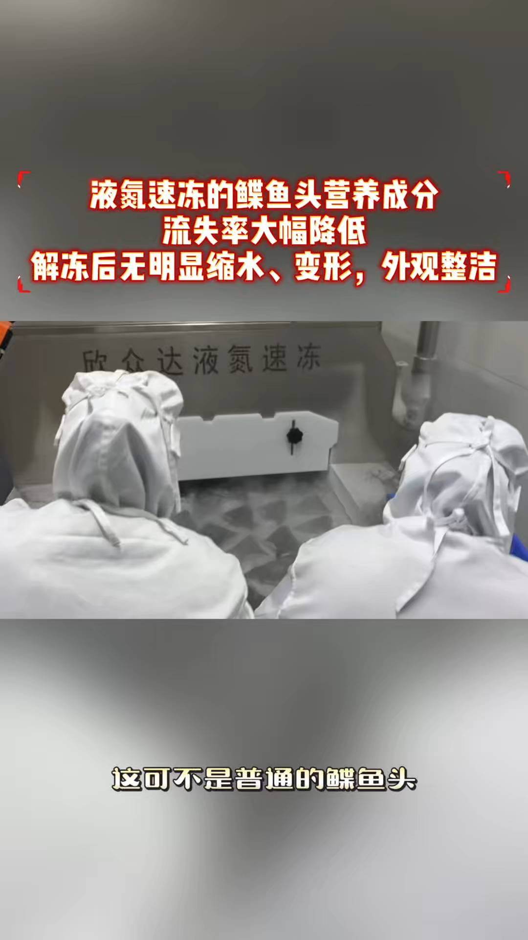 鲽鱼头实现“阶级性跨越锁鲜”