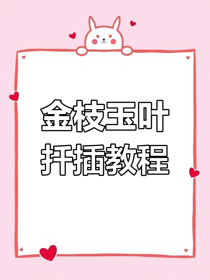 金枝玉叶扦插技巧与养护经验,轻松打造健康多肉植物