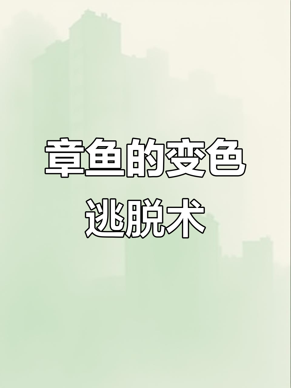 蓝线章鱼伪装成沙子,躲避海蛇追杀