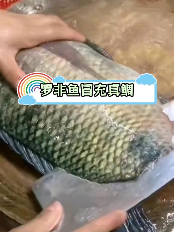 自助餐厅里的“钓鱼刺身”竟是罗非鱼