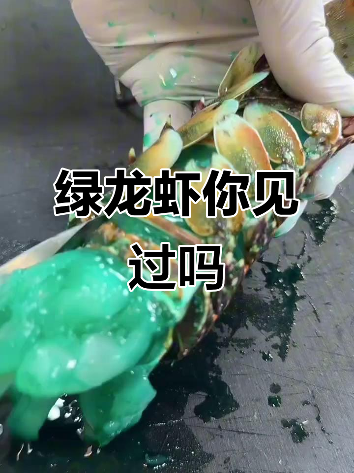 你见过绿色龙虾吗?这颜色太神奇了!