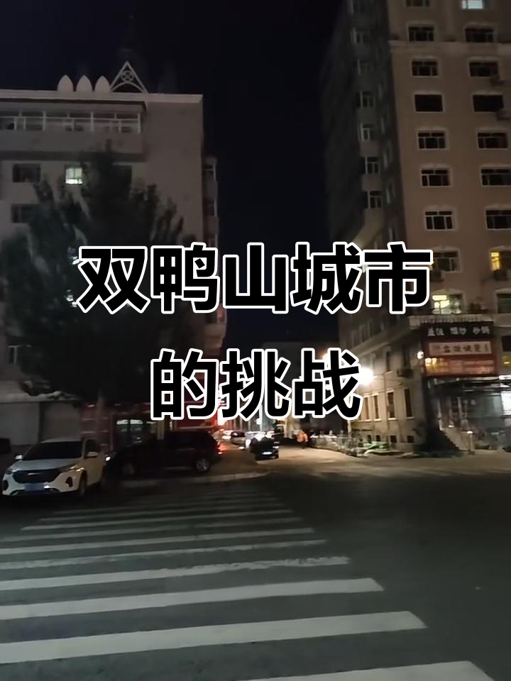 双鸭山市:地广人稀,城市困境与未来发展