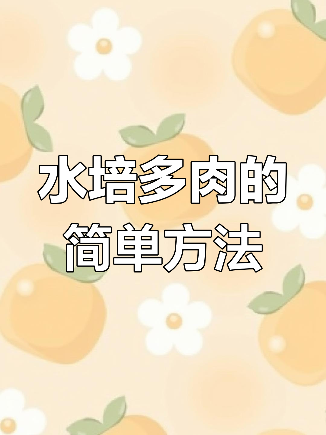 多肉水培技巧,轻松搞定根部养护