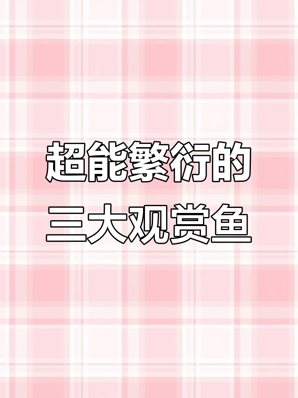 3种超强繁殖能力观赏鱼，新手也能轻松体验爆缸乐趣