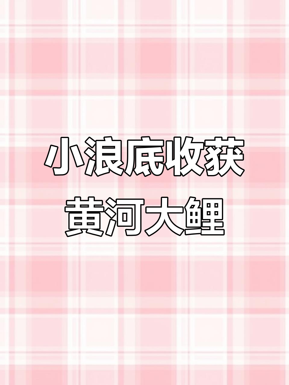 2020年11月17日黄河小浪底农家捕大鲤鱼