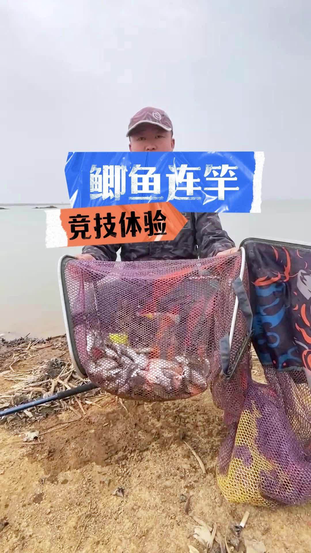 探钓童家湖,饵料还是选择地狱猫,口不错拉出了竞技池的感觉,鲫鱼鲤鱼都钓到了,也太惊喜了 春