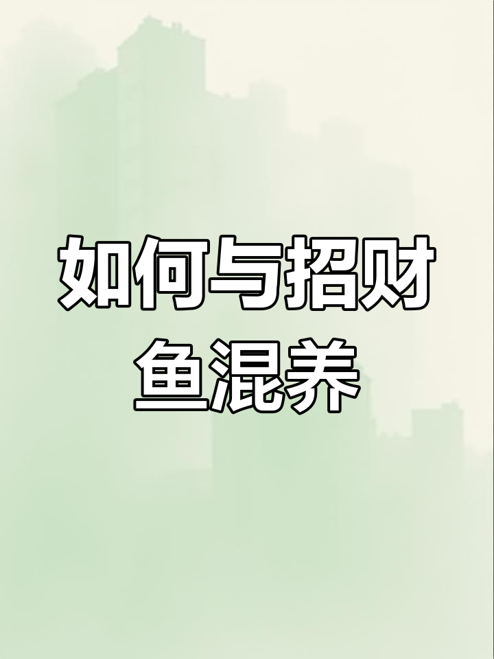 招财鱼幼体如何与其他鱼类共养?注意这些细节