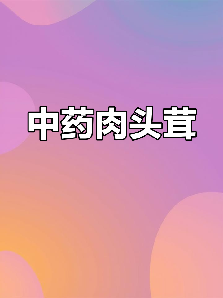 肉苁蓉:沙漠中的珍贵中药