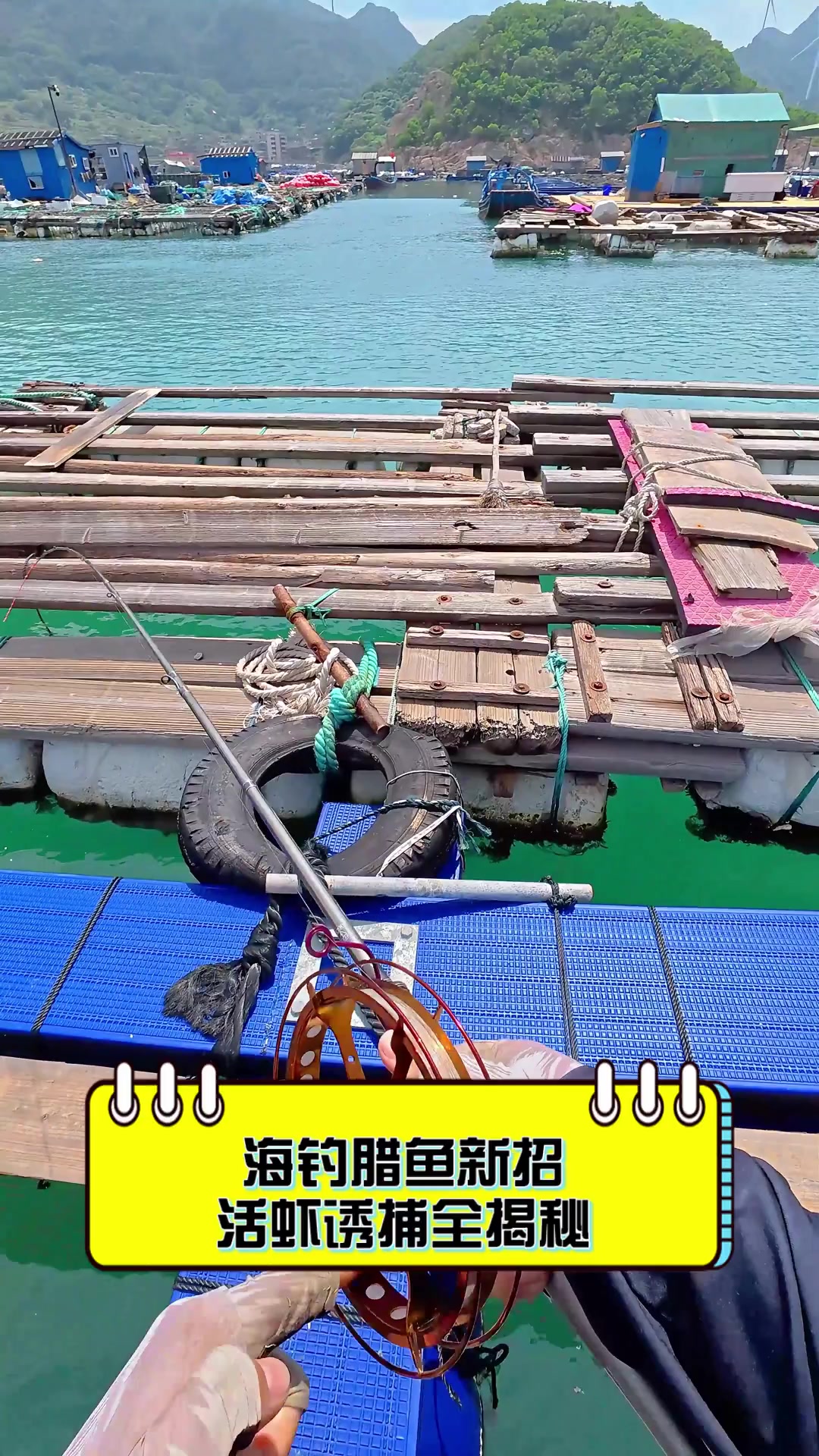 海钓腊鱼新招,活虾诱捕全揭秘