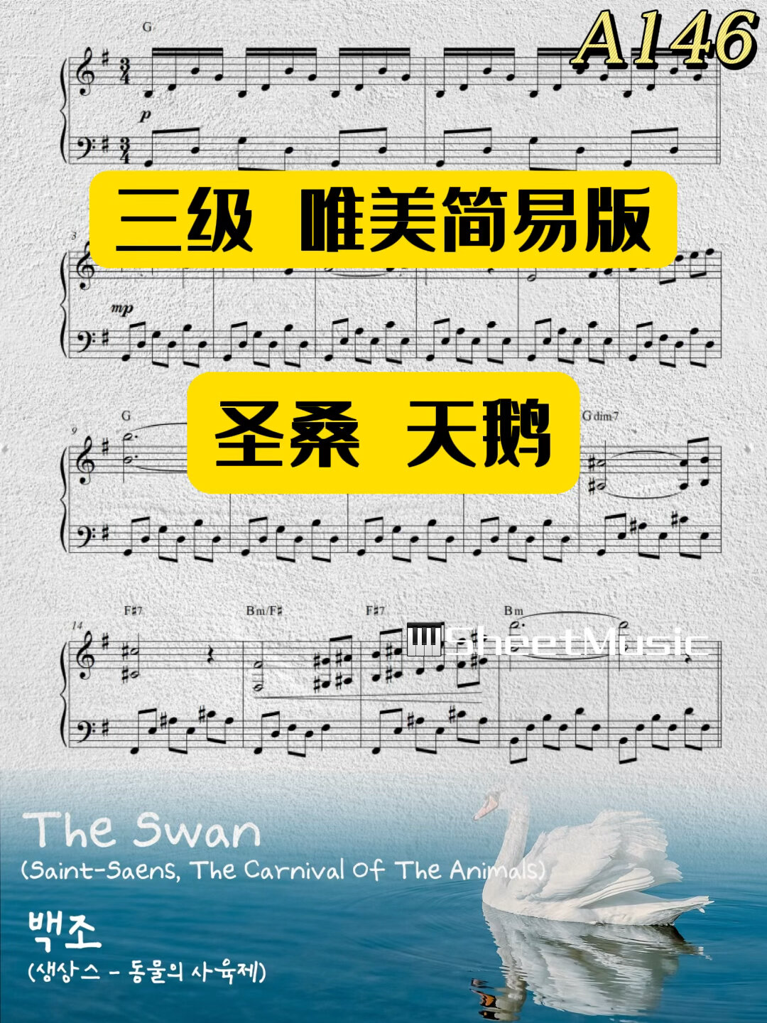 圣桑经典名曲 动物狂欢节组曲天鹅 简易版