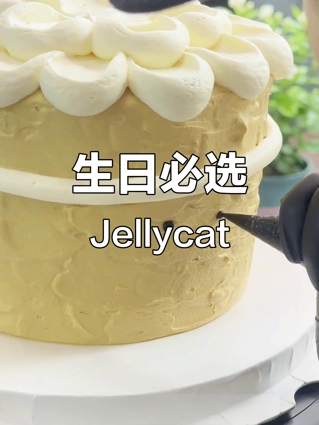 Jellycat蛋糕,生日必备可爱选择!