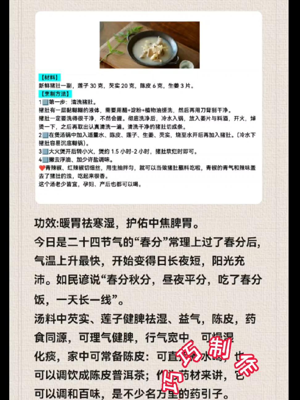 广东靓汤 今日春分,宜喝芡实莲子陈皮猪肚汤 传承中医文化 健康养生 食疗 上热门