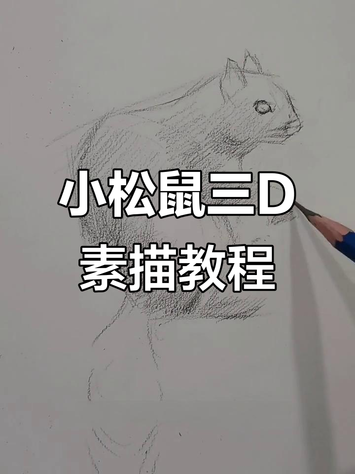 轻松学会立体小松鼠素描,步骤详解教你画出栩栩如生的动物形象