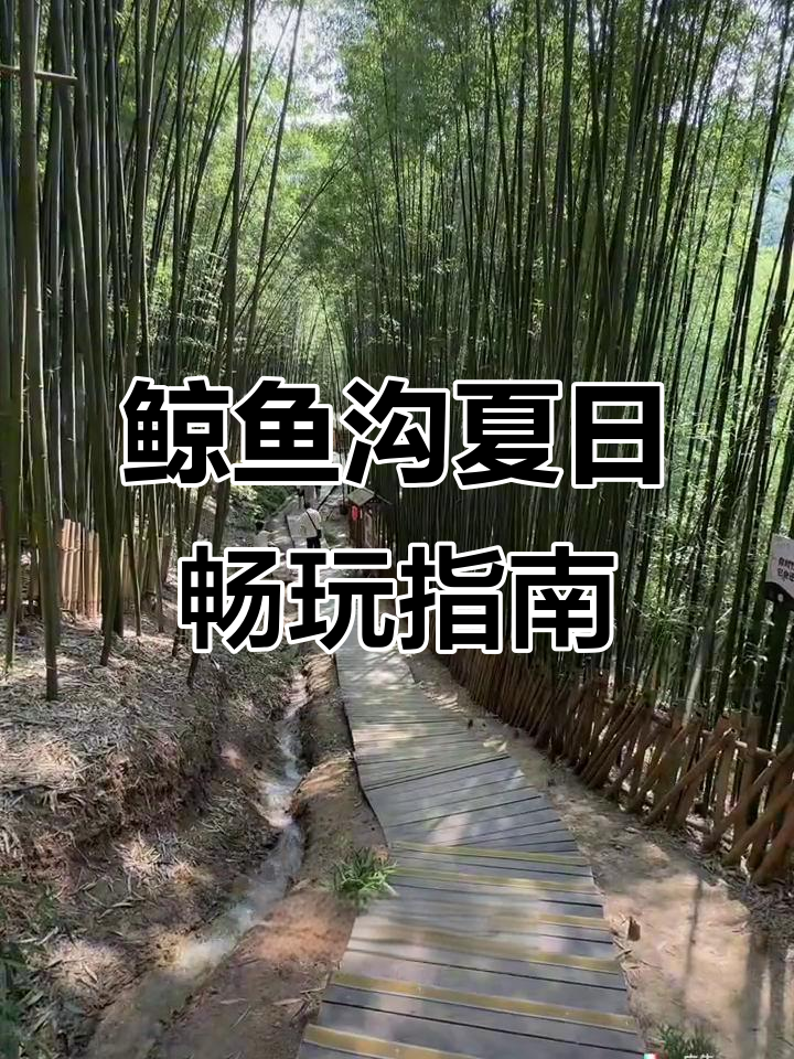 西安避暑新去处,鲸鱼沟景区全攻略:玩水、露营、快艇体验