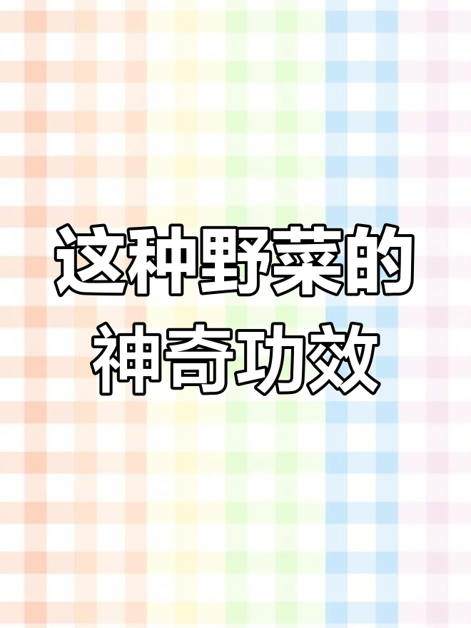 你们那里叫它什么名字?这种野菜竟然有这么多作用!
