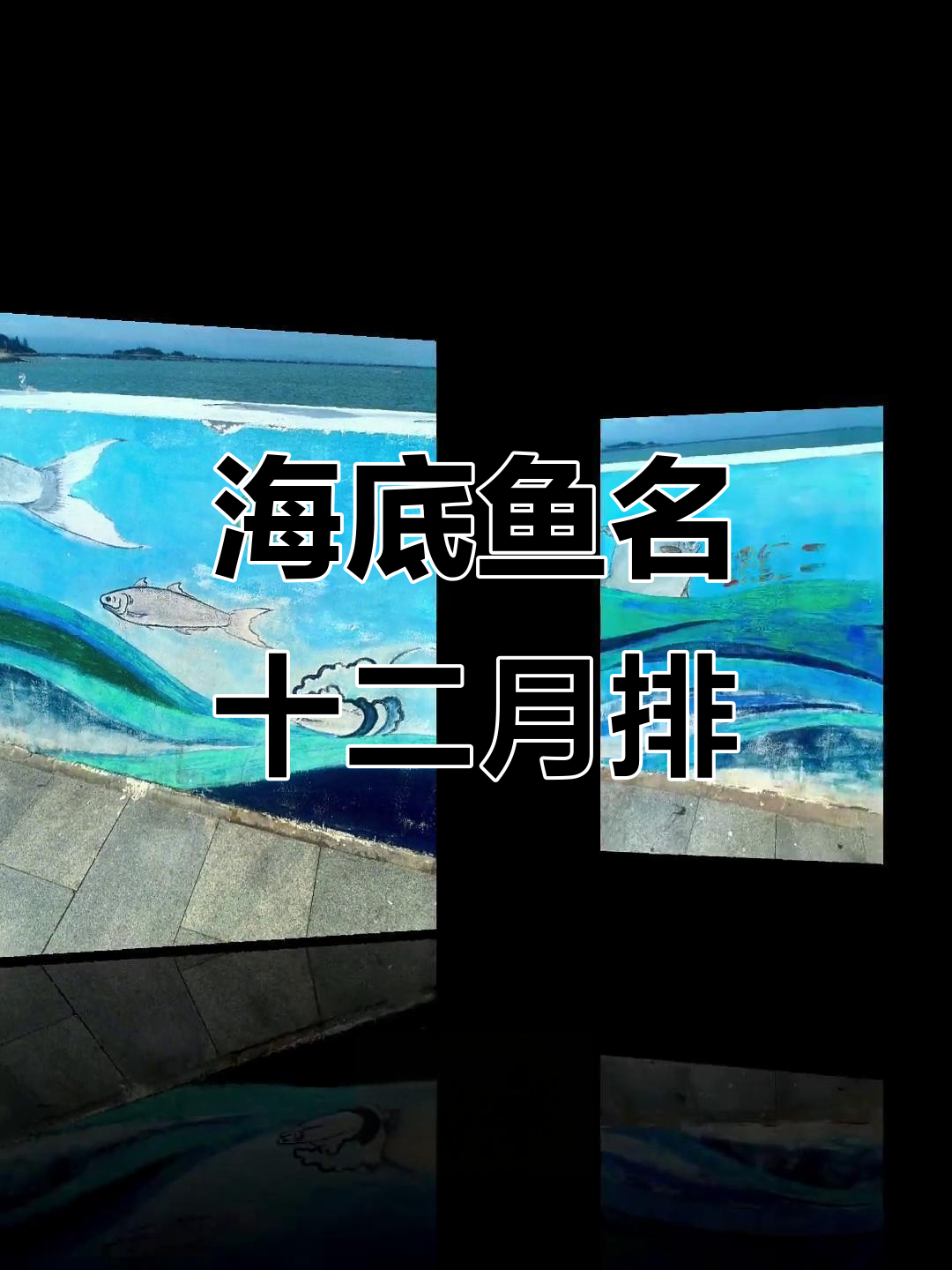 东山民谣:海底鱼名大揭秘,十二个月全排列