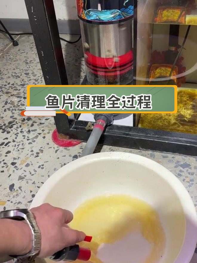 鱼便分离器效果展示