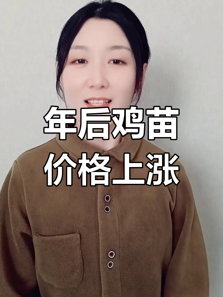 2023年后鸡苗价格大涨,市场波动分析