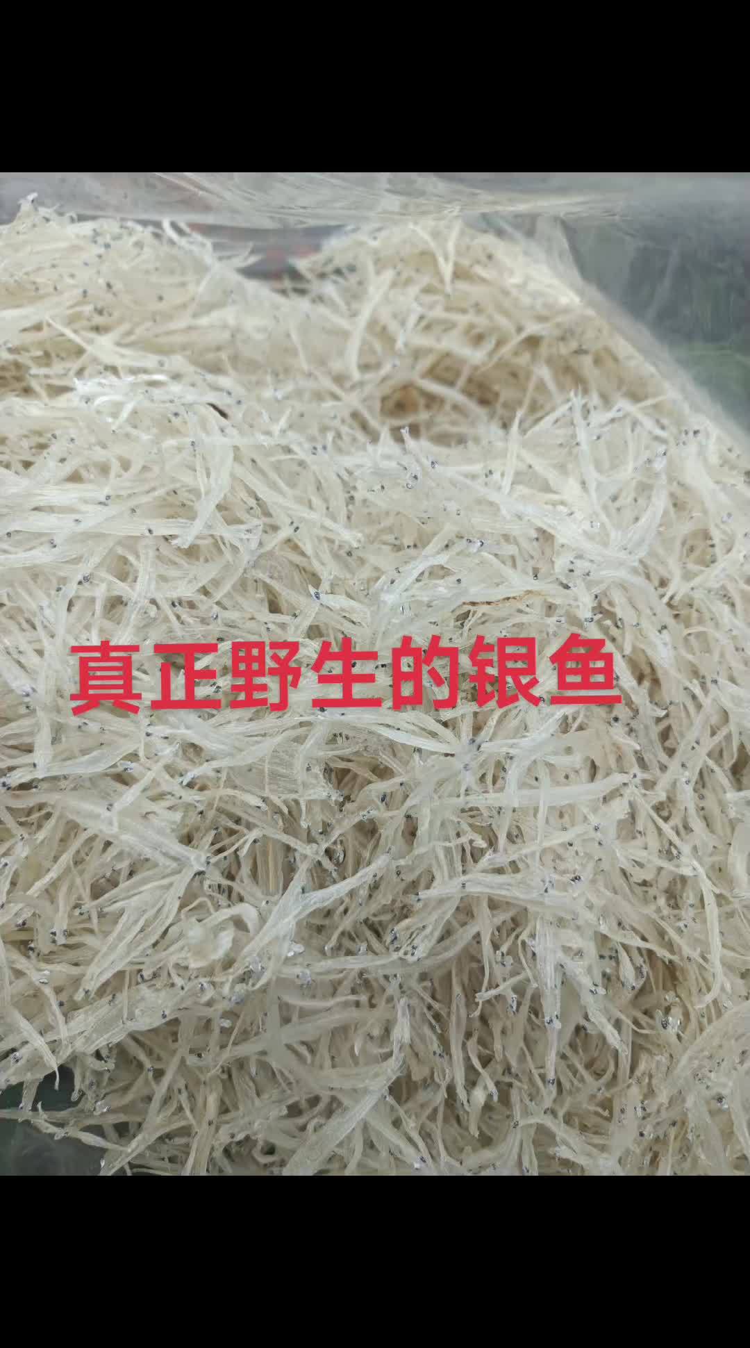 大自然的礼物,澜沧江野生银鱼!你喜欢吃吗?云南特产 分享家乡特产