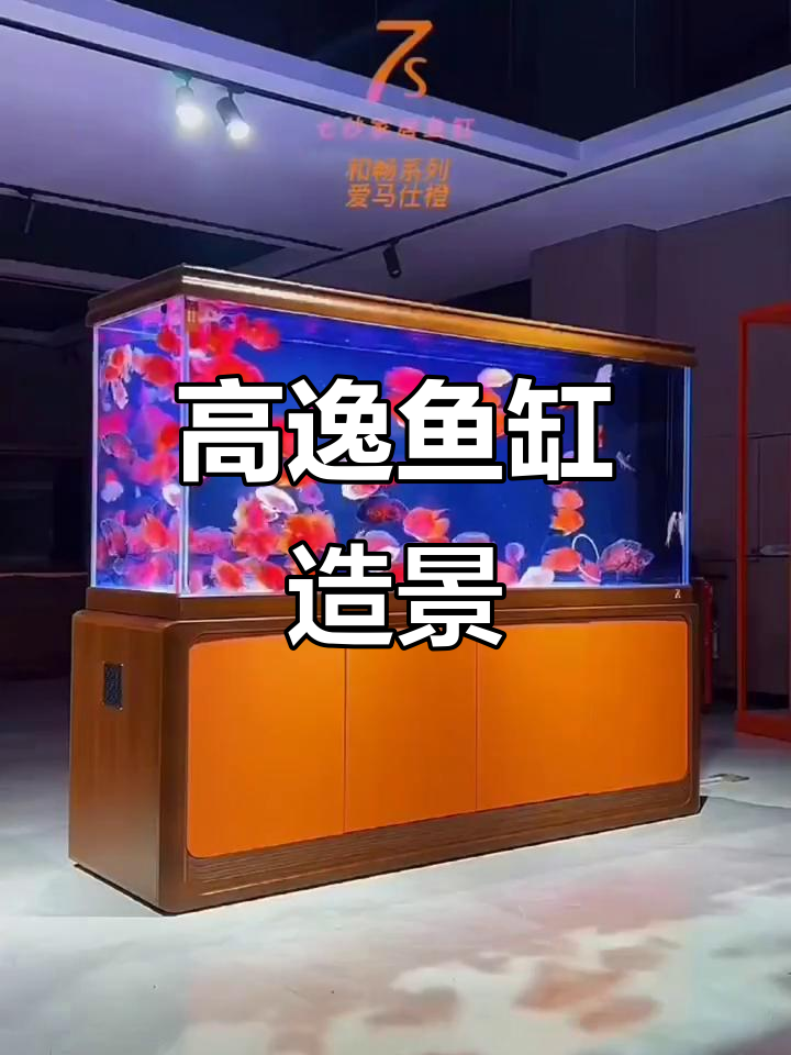 七秒鱼缸:高逸水陆造景,打造空气缸新体验