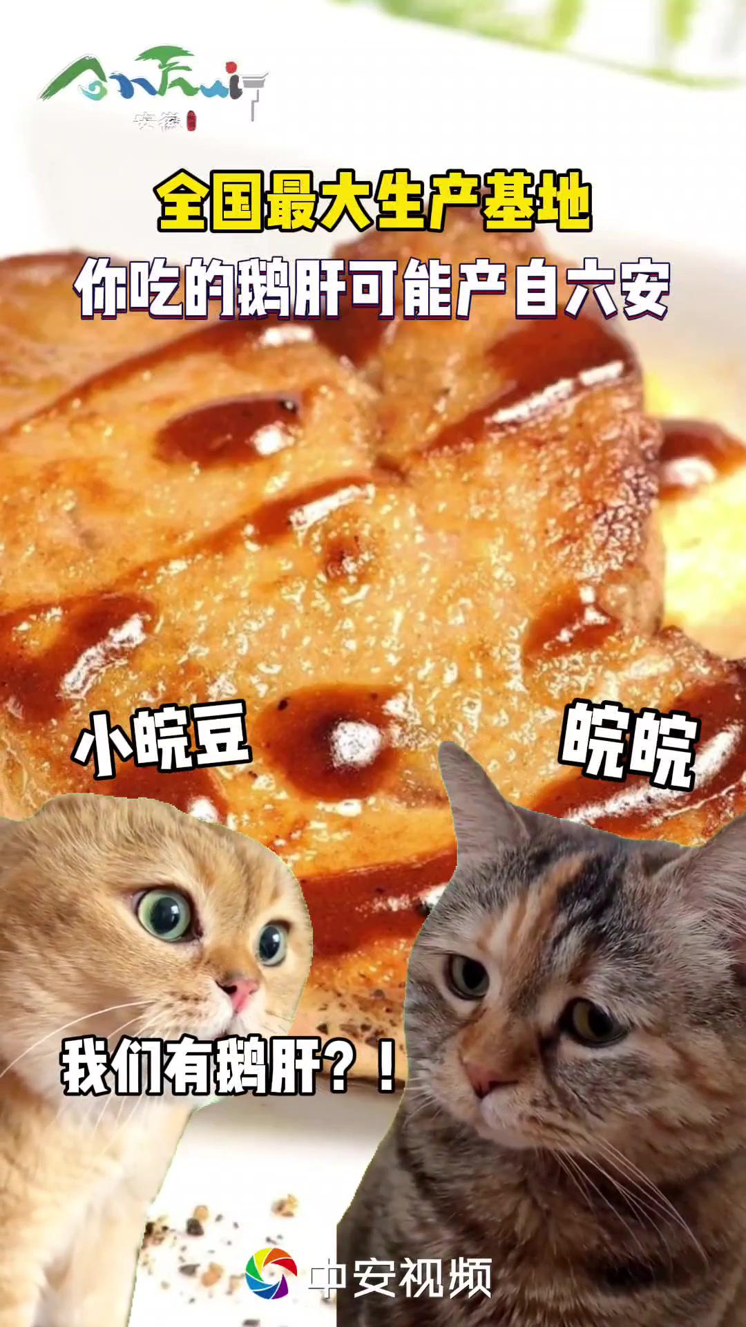 是的,咱家真的有鹅肝。安徽 六安 霍邱 鹅肝 安徽文旅