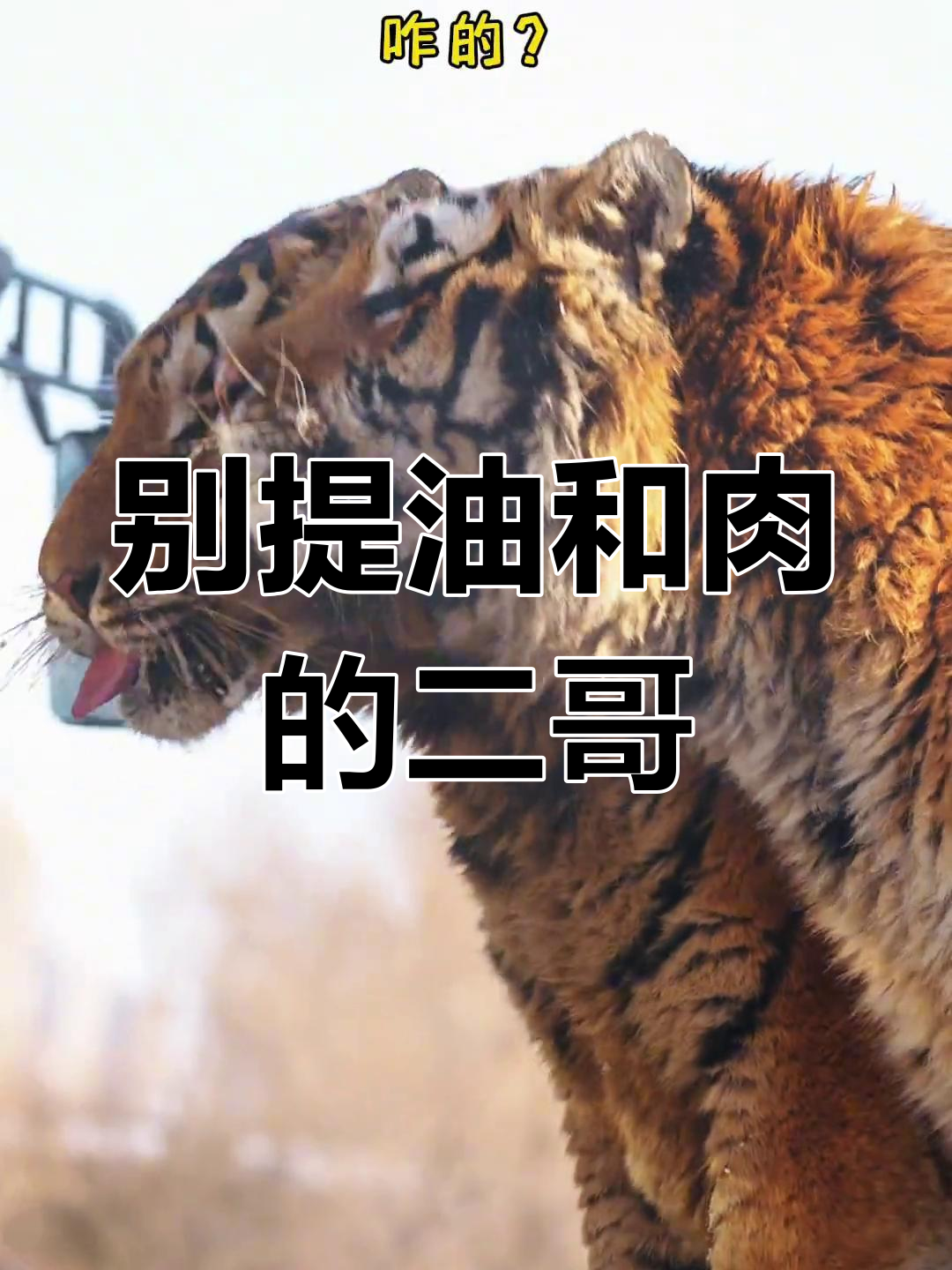 二埋汰的搞笑日常:别跟我提肉,脚味儿太鲜了!