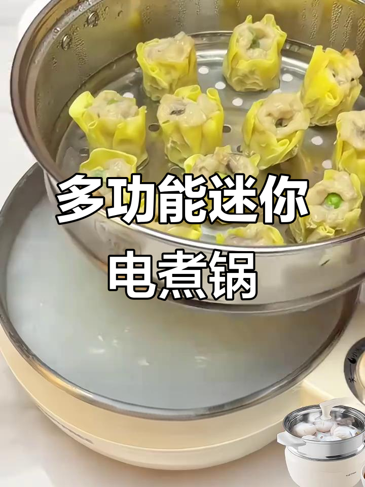 优尔斐316不锈钢电煮锅,多功能一体设计,迷你小巧更实用