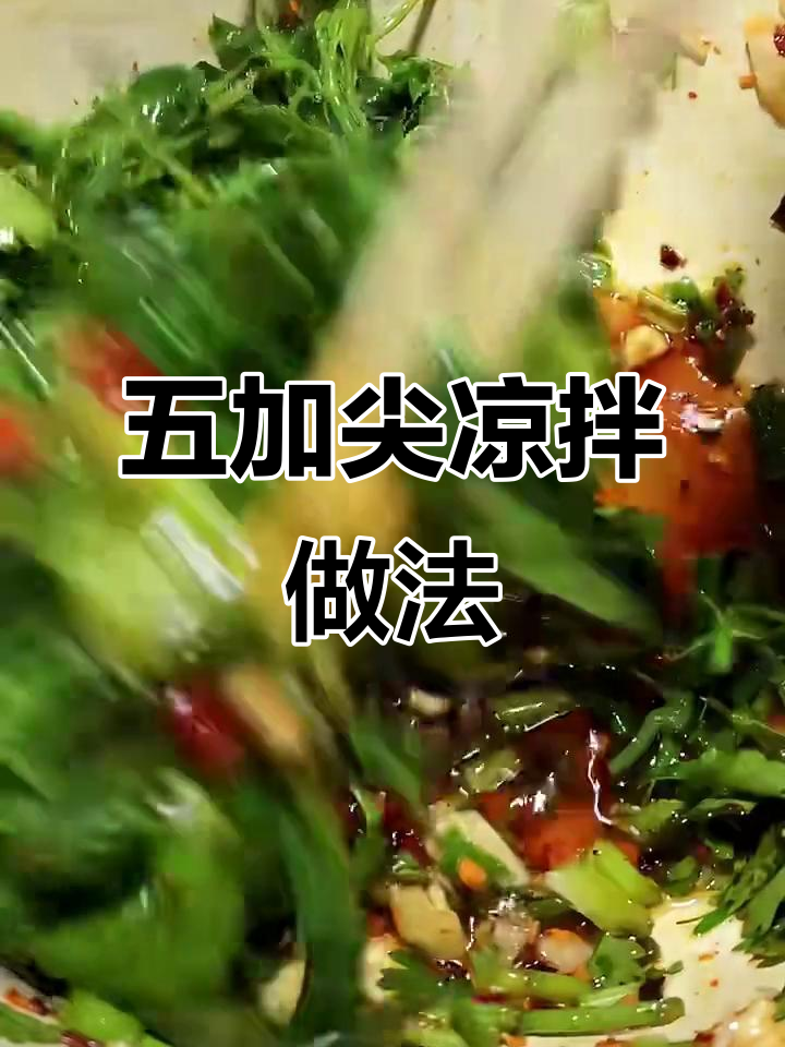 云南特色凉拌五加尖,苦中带香,清热去火