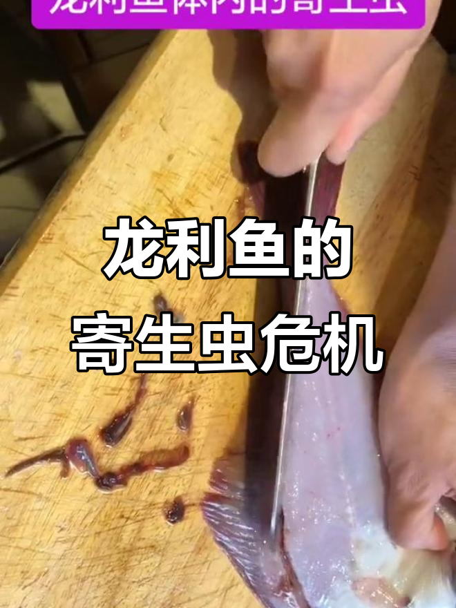 野生鱼体内惊现绦虫，吃不对可能致命！