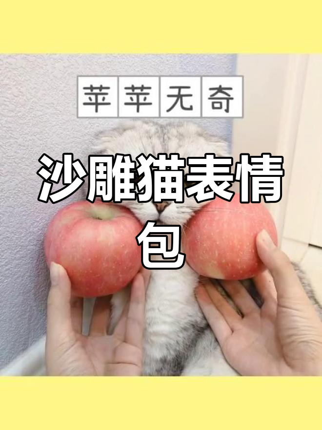 沙雕猫咪日常,苹果表情包来袭!