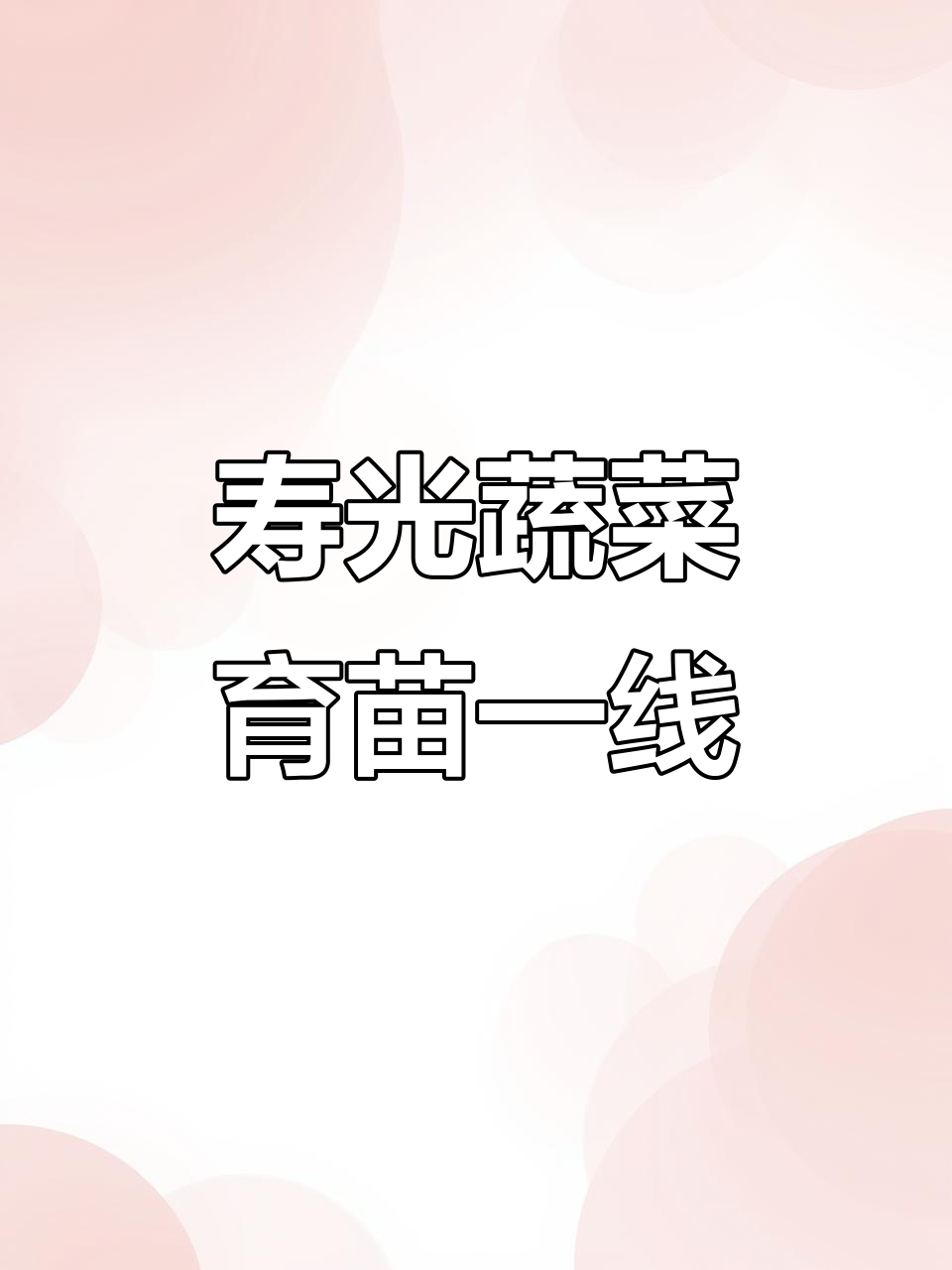 山东寿光蔬菜育苗基地,为内蒙古、黑龙江等地客户提供优质种苗