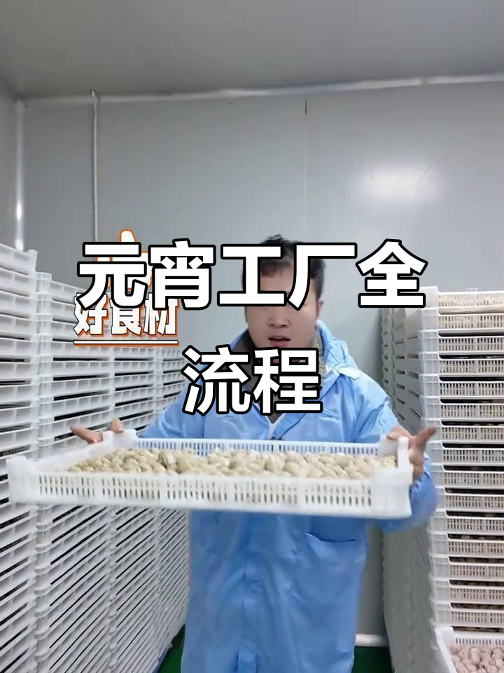 走进元宵工厂,揭秘传统汤圆制作全过程