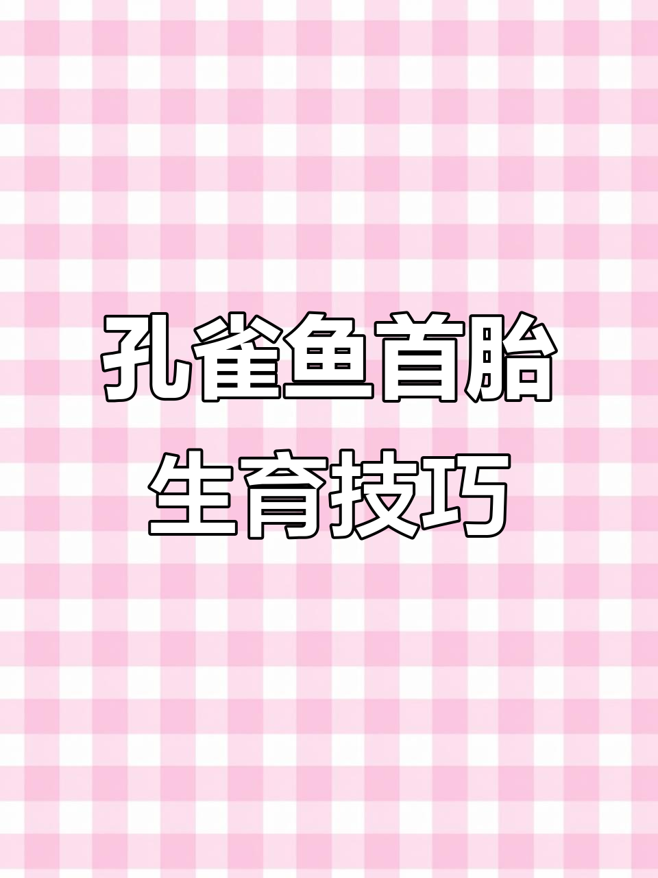 母鱼头胎生小鱼仔,隔离罐保护水质不受污染