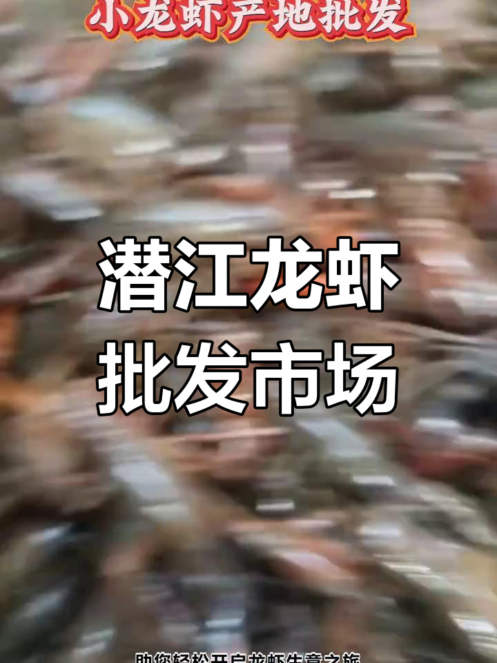 湖北潜江小龙虾批发市场:品质保障,价格实惠