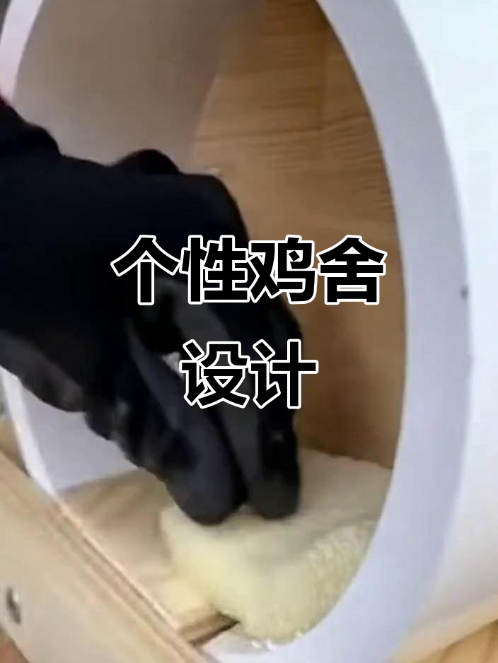 创意鸡舍:每只鸡都有自己的迷你别墅,设计超有趣