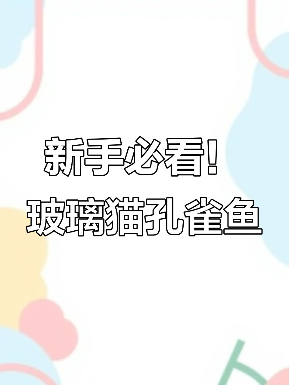 玻璃猫孔雀鱼:适合新手养,繁殖更轻松
